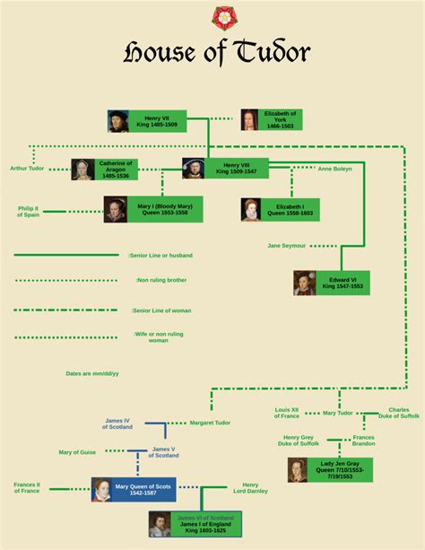 tudor family tree|tudor family tree identification.